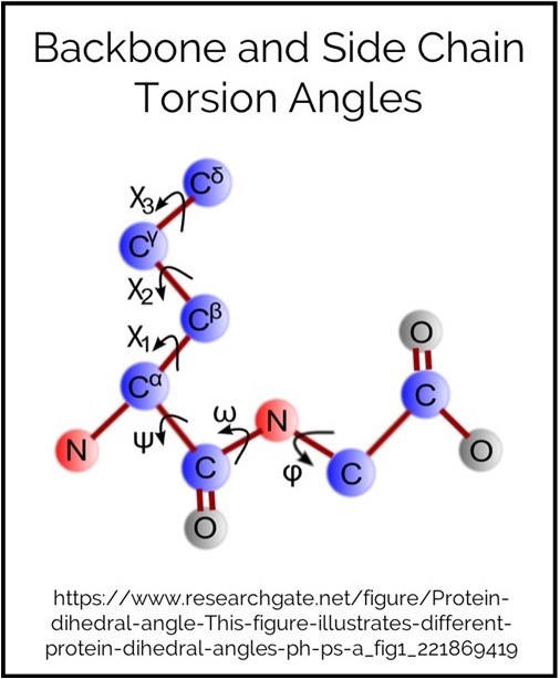 Backbone and Side Chain Torsion Angles